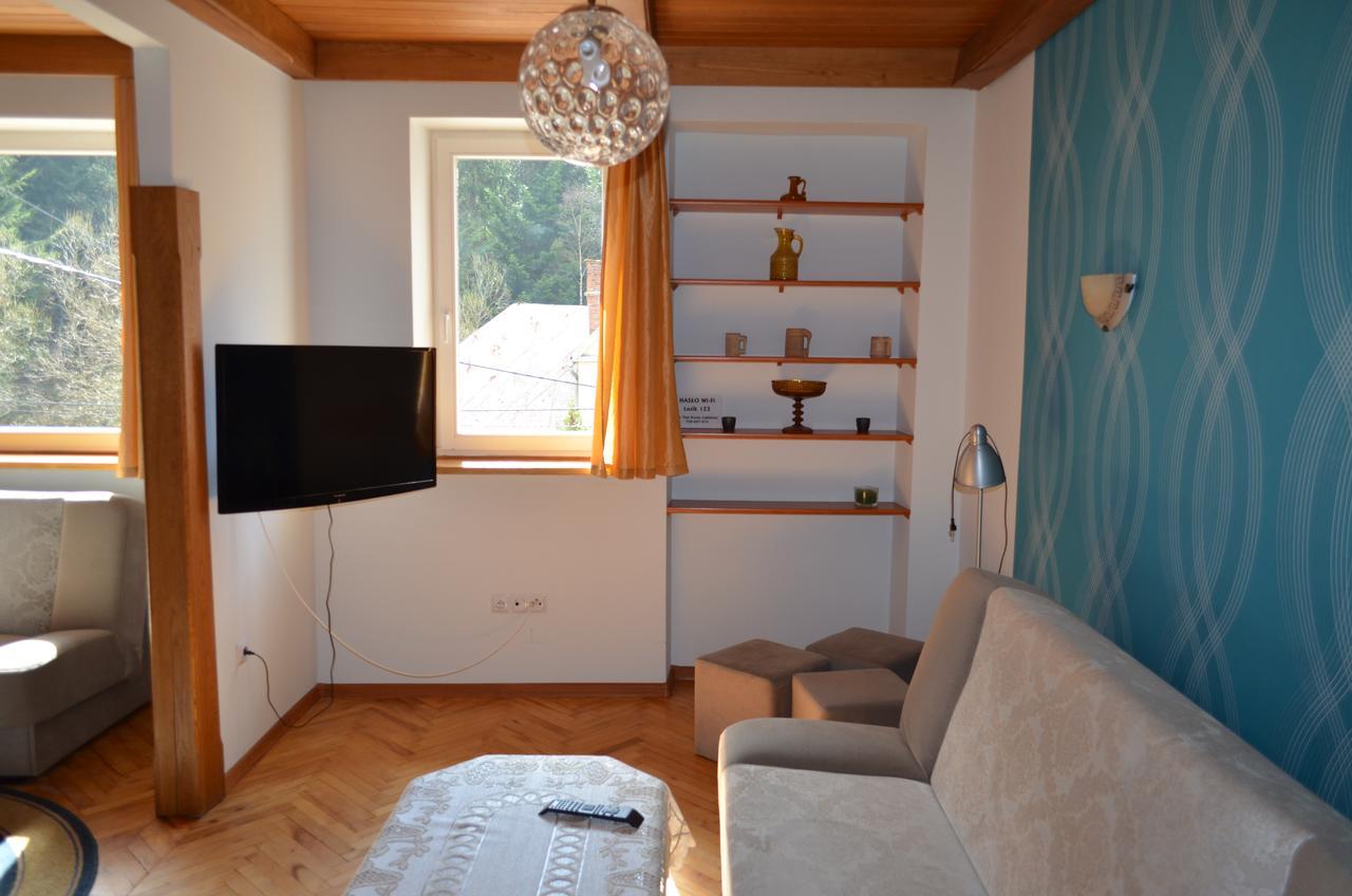 Luzik Krynica Apartment Bagian luar foto
