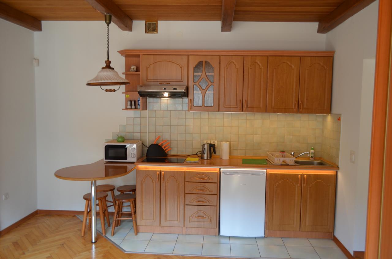 Luzik Krynica Apartment Bagian luar foto