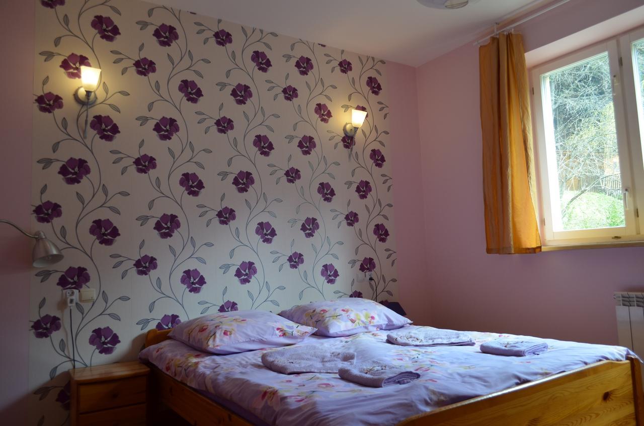Luzik Krynica Apartment Bagian luar foto